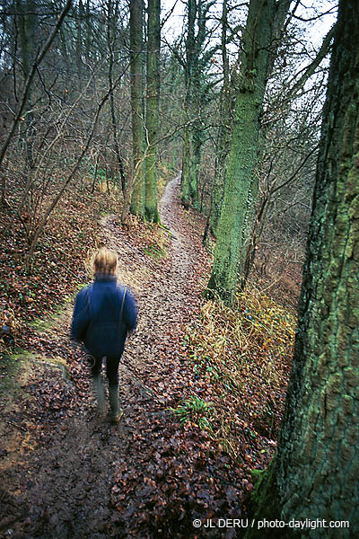 Promeneur dans les bois - wallker in wood